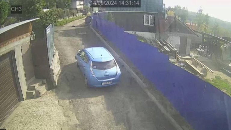 Лежащую на дороге собаку переехала на полном ходу автолюбительница в Иркутском районе